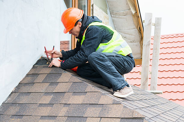 Best Local Roofing Companies  in Delisle, MS